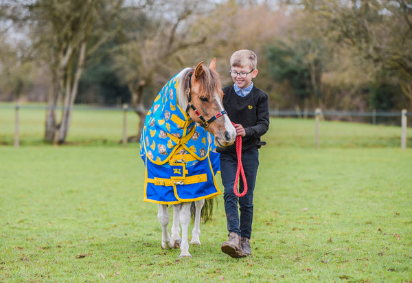 patterned horse rugs horsewear