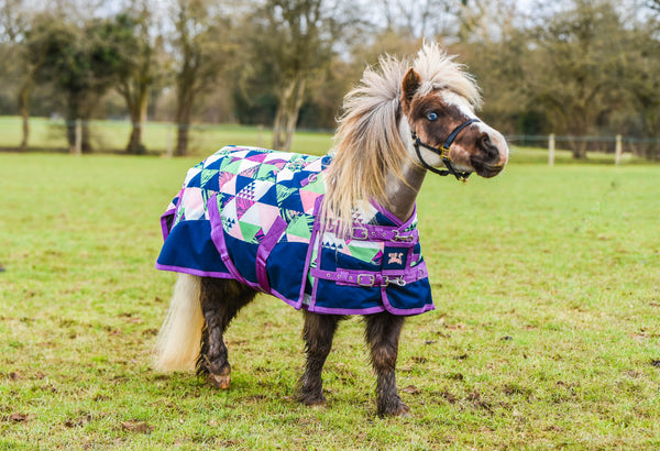 patterned horse rugs