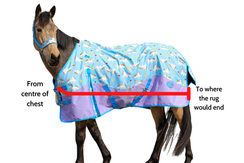 How to Measure Horse Rugs