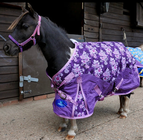 patterned horse rugs horsewear