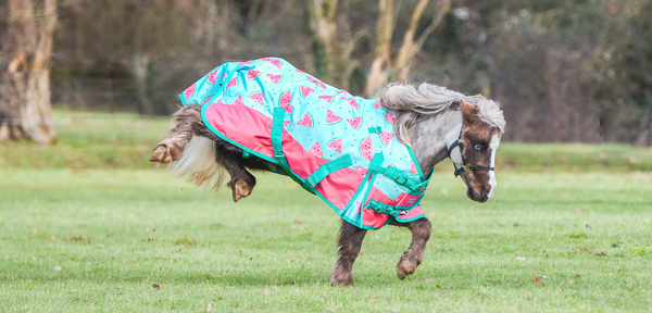 patterned horse rugs horsewear