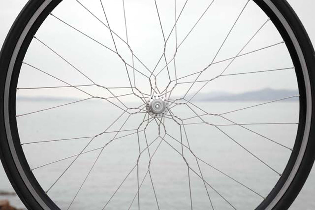 spokes in bicycle wheel