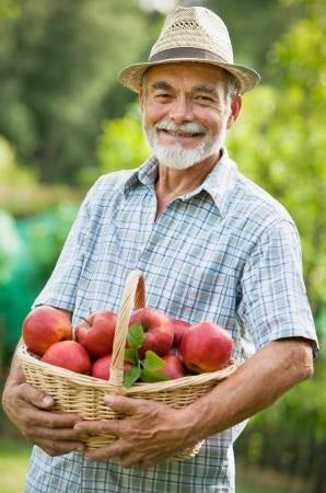 healthy gardening