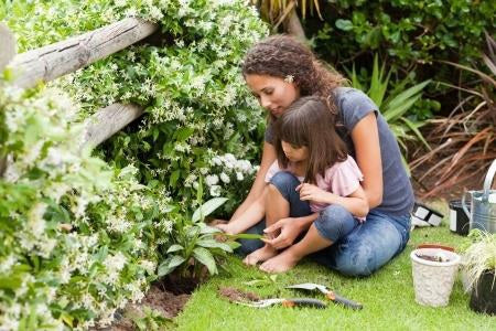  healthy gardening - beginners guide