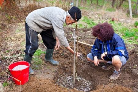 healthy gardening