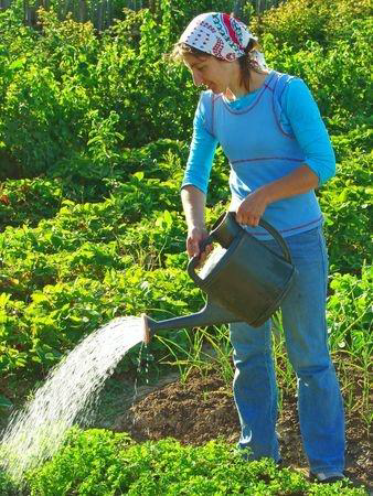 healthy gardening