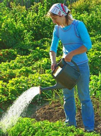 healthy gardening