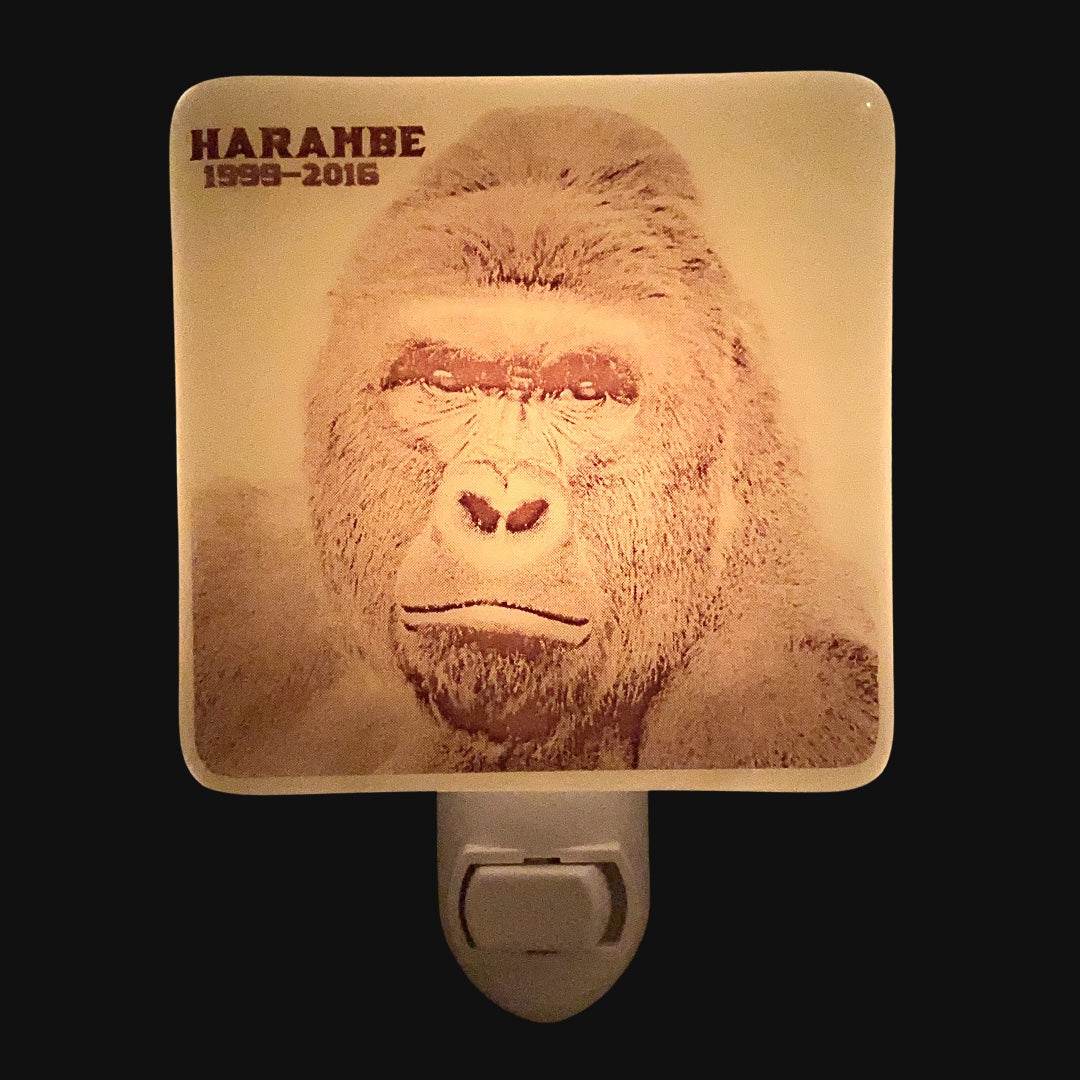 harambe lamp