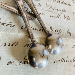 Antique Silver Plate Salt Spoon