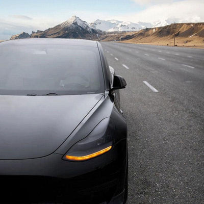 TAPTES® Car Surface Decoration Film for Tesla Model 3/Y, Car