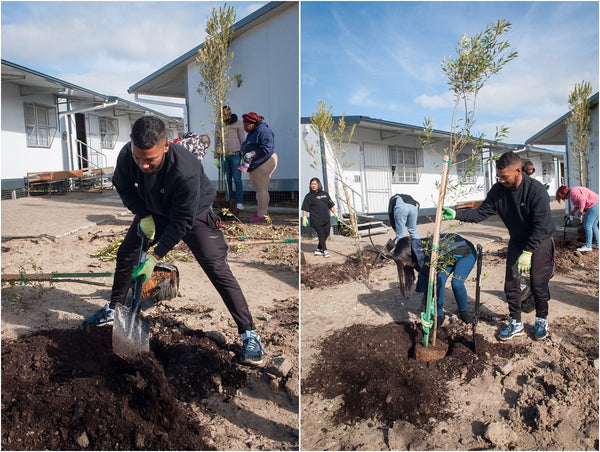 fisantekraal primary spring day greening outreach project 006