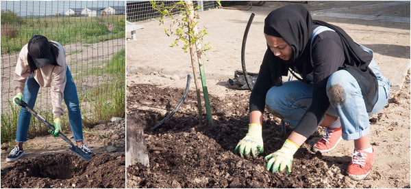 fisantekraal primary spring day greening outreach project 007