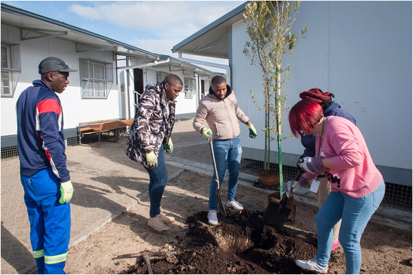 fisantekraal primary spring day greening outreach project 008