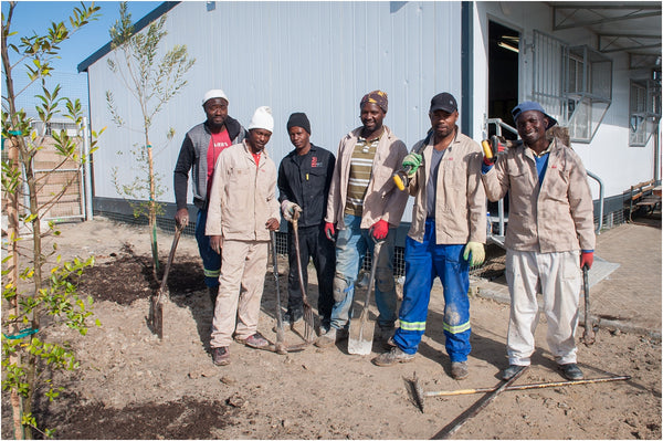 fisantekraal primary spring day greening outreach project 013