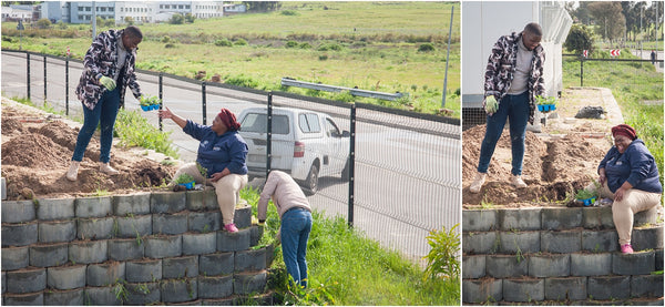 fisantekraal primary spring day greening outreach project 025