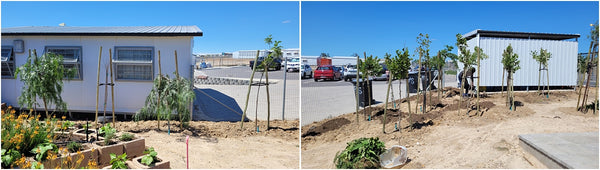 school playground greening outreach project 001