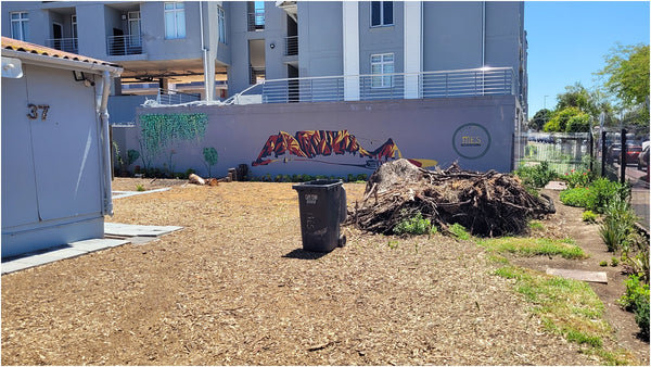 community greening project at MES durbanville 002