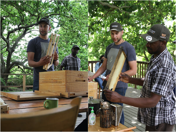 honeybee heroes beekeeping course cape town