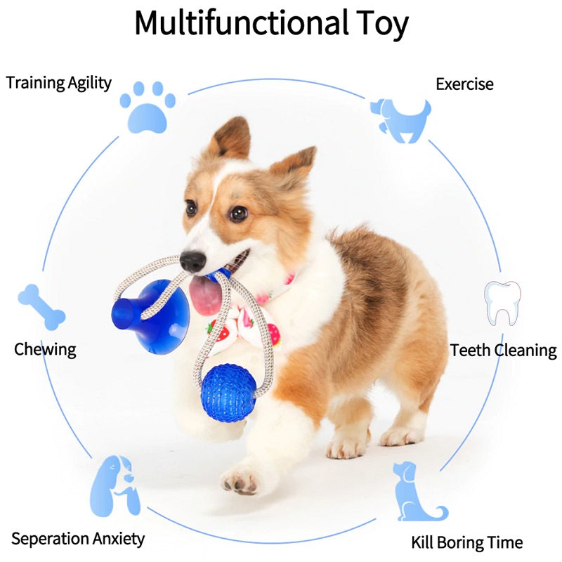 With this TugoWar™ Interactive Tug Of War Dog Toy, you can fix your dog’s biting problem as they enjoy playing for hours while you can rest-easy your things are all safe – it’s a win-win!