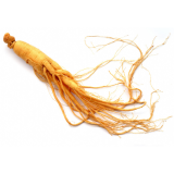 Korean Red Ginseng Root