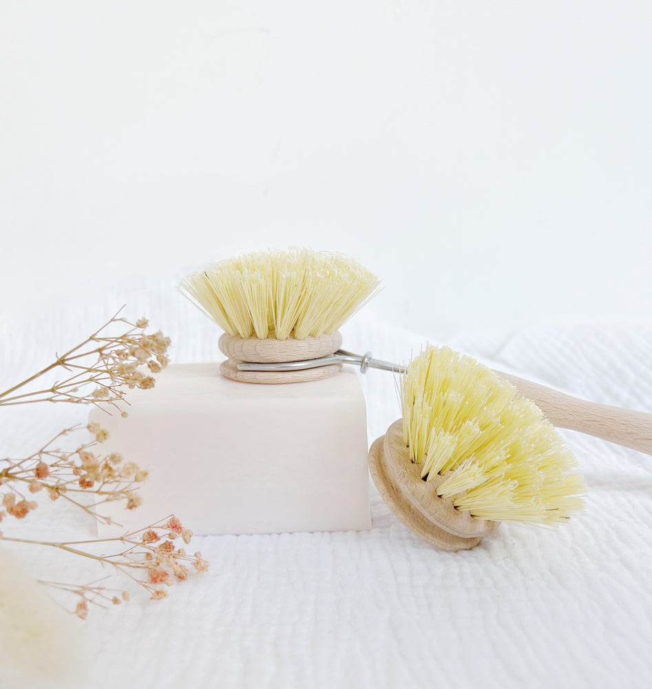 Brosse pour Pot de vaisselle, jolie coquille d'oeuf, fruits et légumes,  brosse de nettoyage, poêle à vaisselle, éponge tampon à récurer,  accessoires