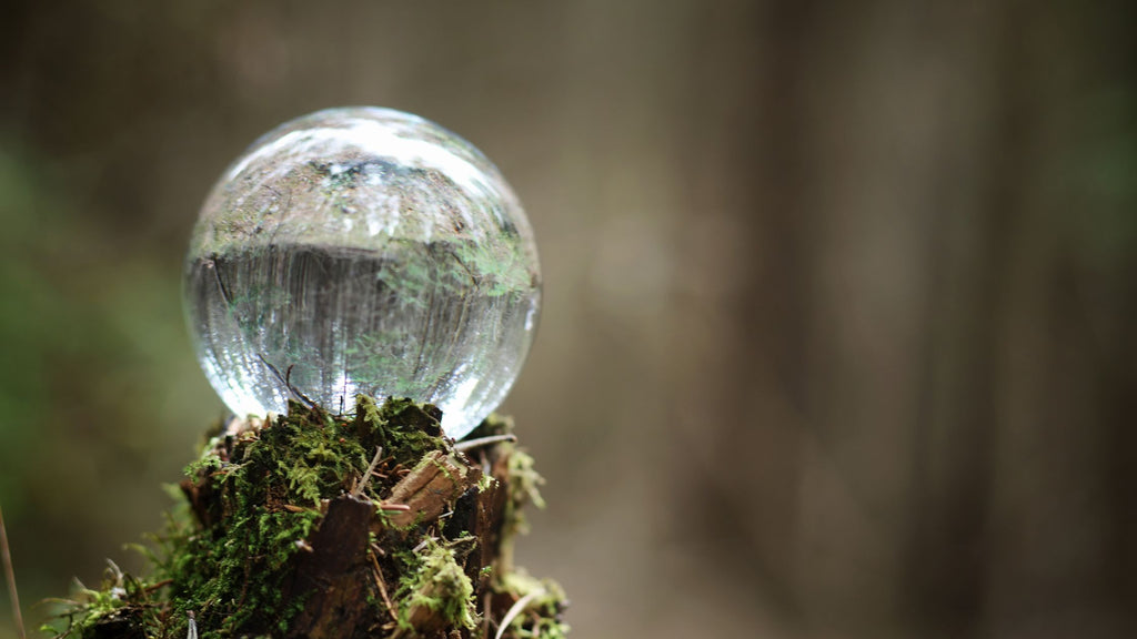 Sphère en cristal posée dans une forêt