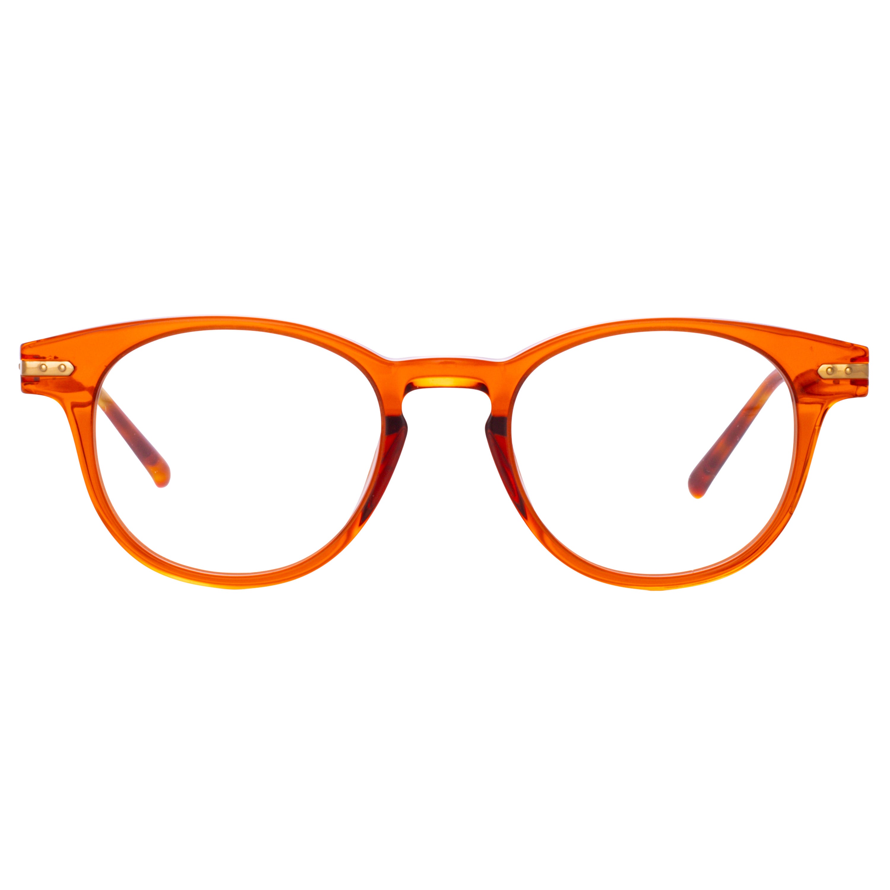 Bay Optical D-Frame in Amber