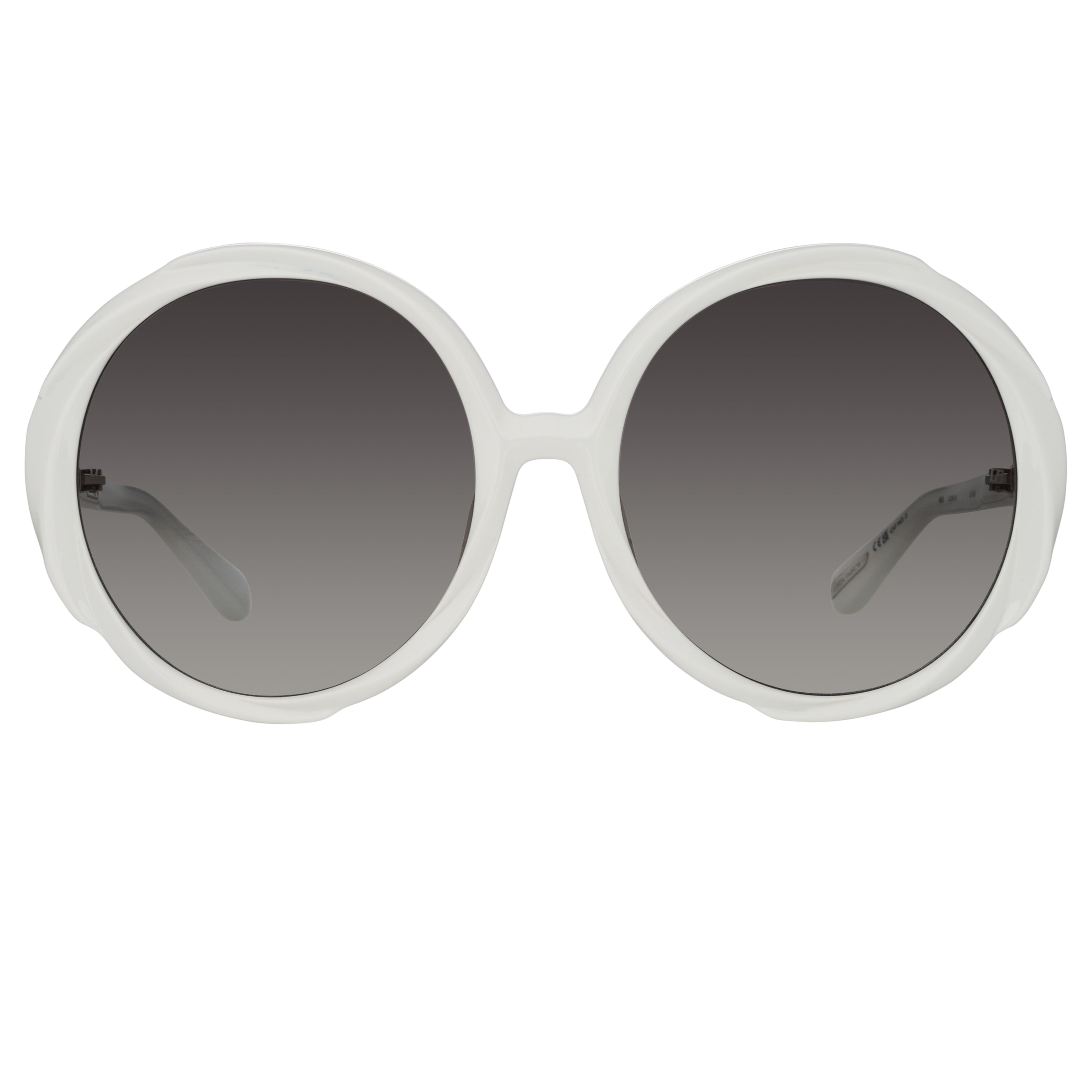 Otavia Oversized Sunglasses in White