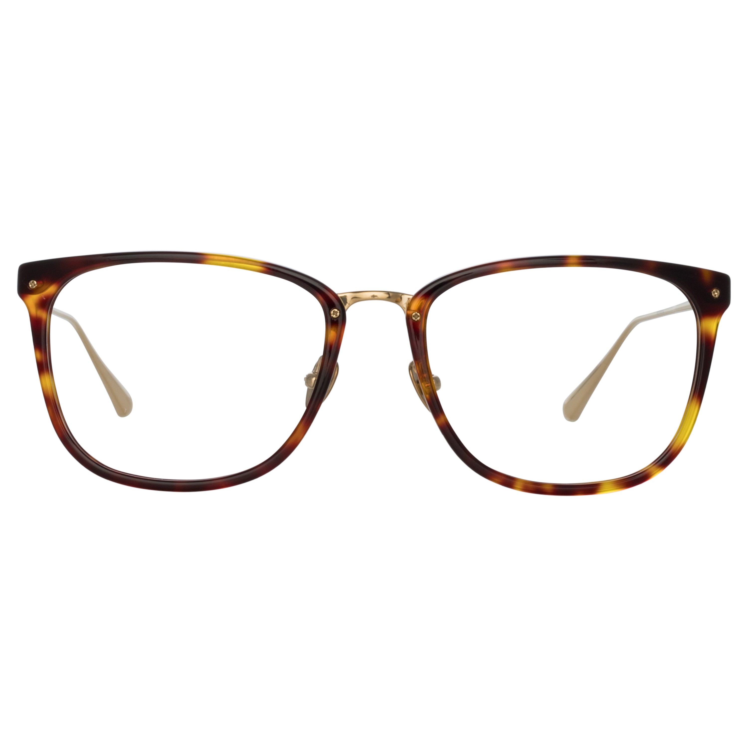 Cassin Optical D-Frame in Tortoiseshell