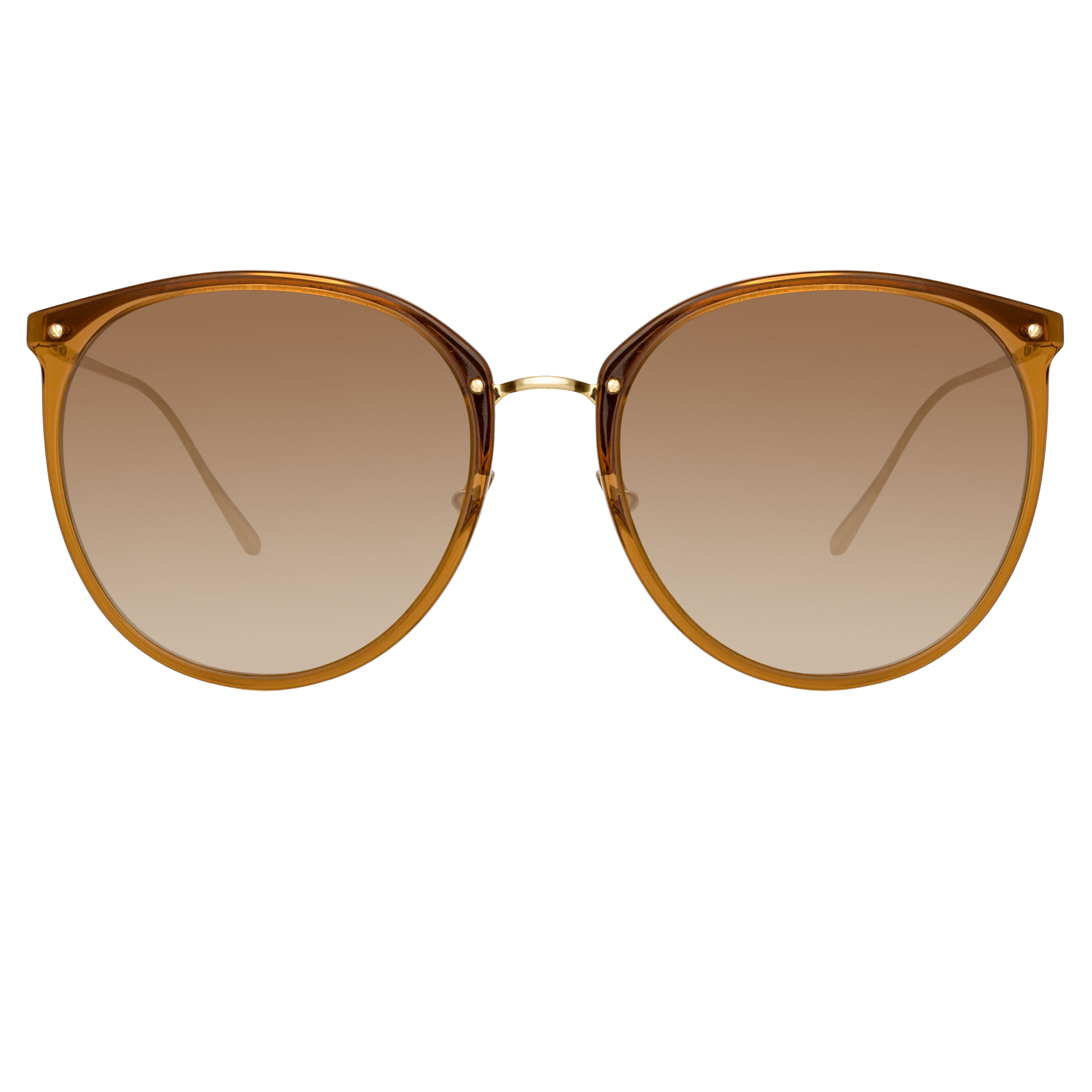 The Kings Oversized Sunglasses in Tobacco (C20)