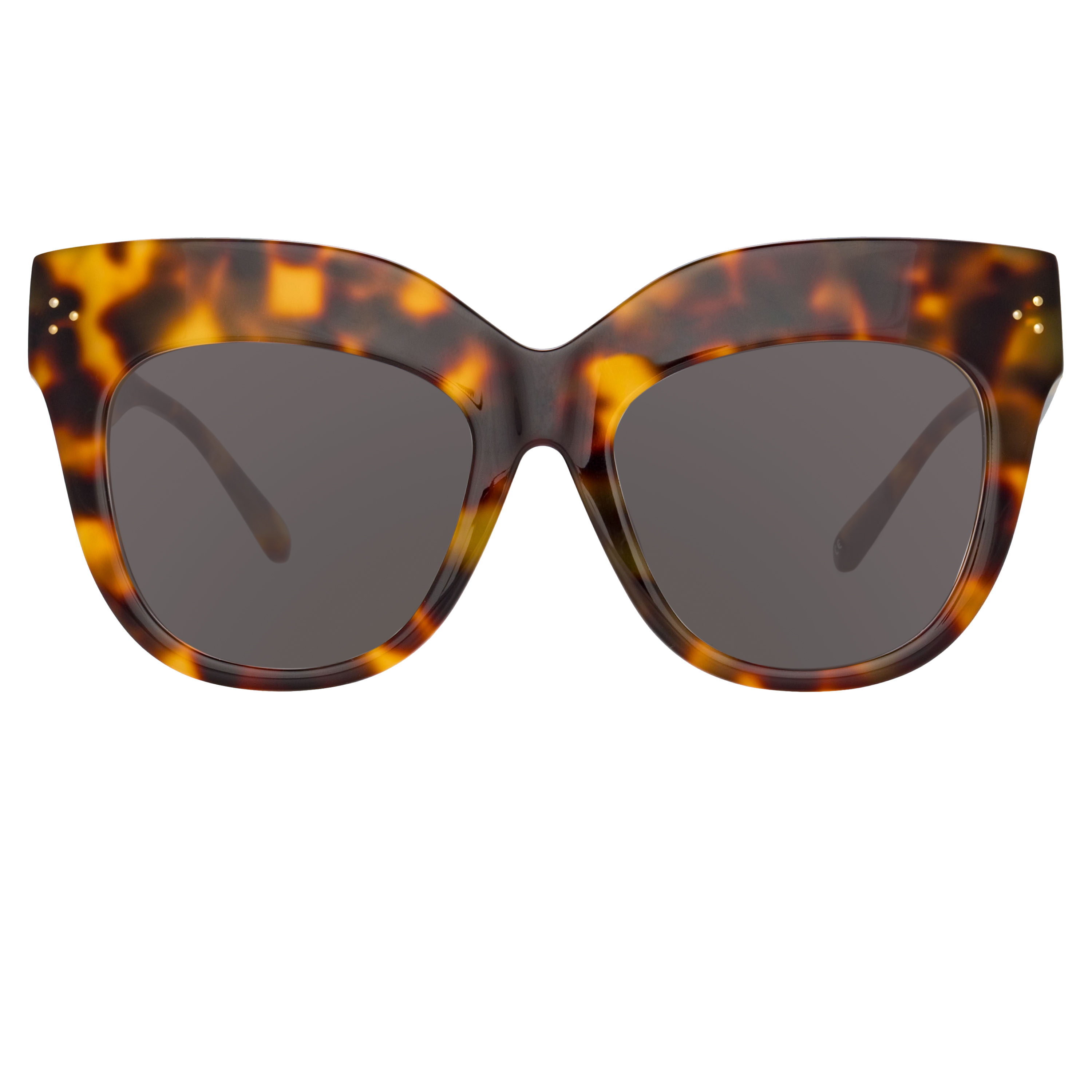 The Dunaway Oversized Sunglasses in Tortoiseshell Frame (C2)