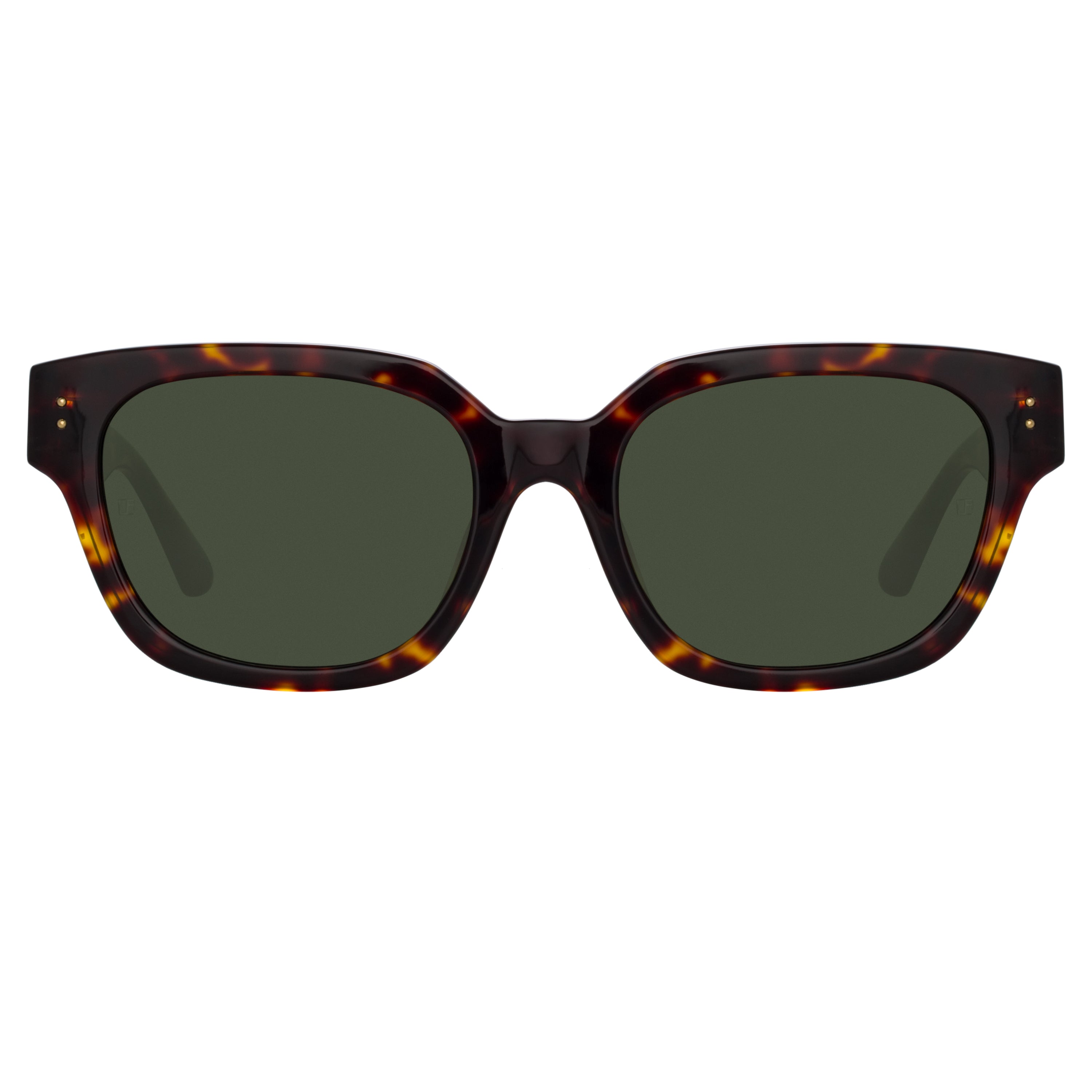Deni D-Frame Sunglasses in Tortoiseshell