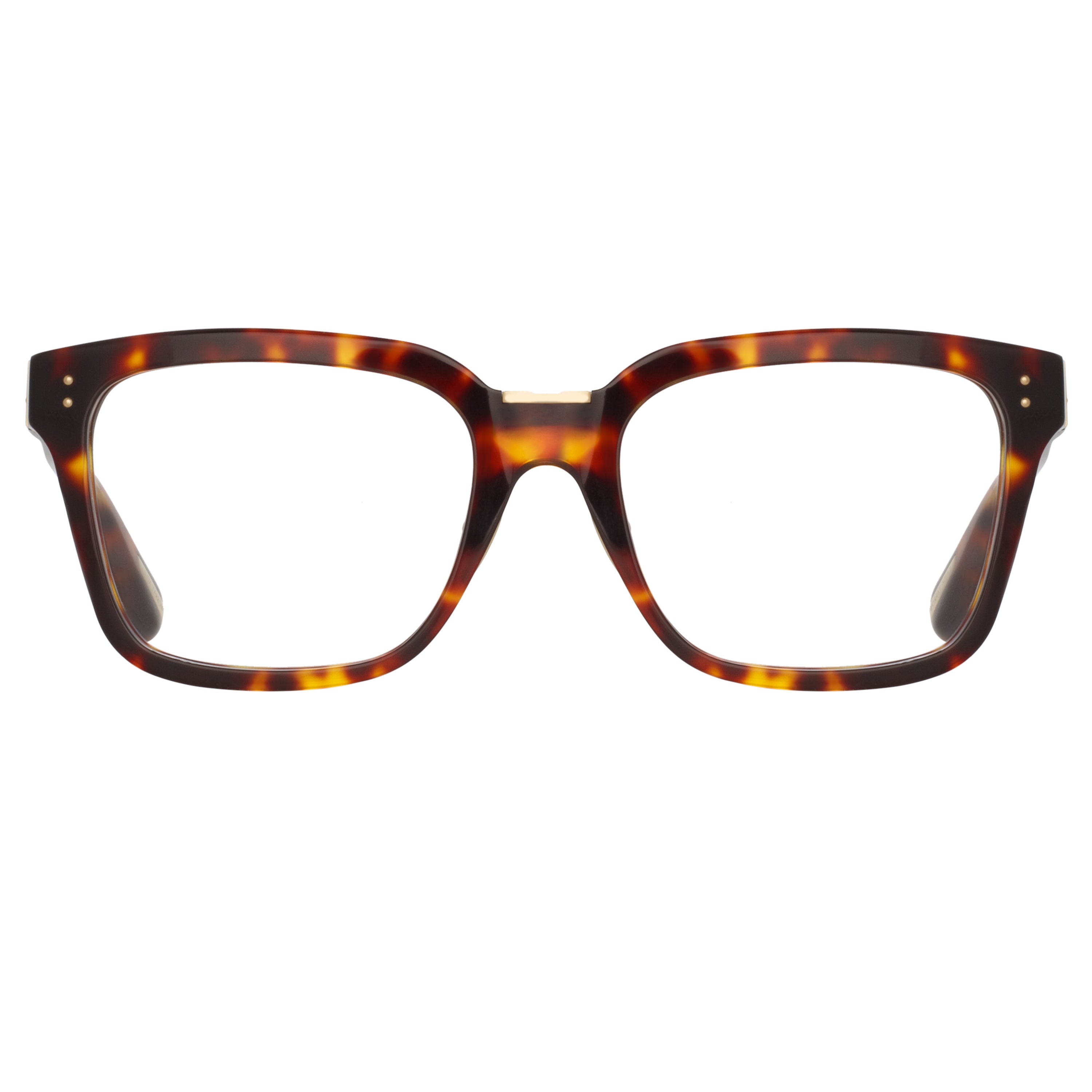 Desiree Optical D-Frame in Tortoiseshell