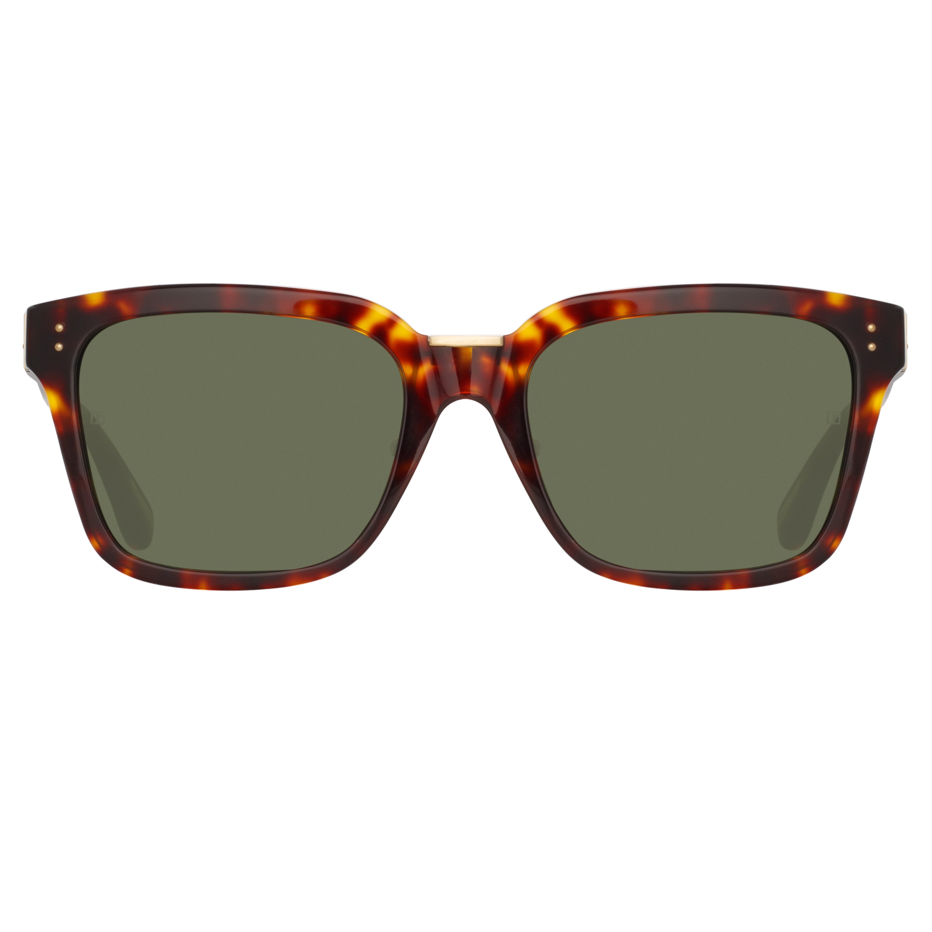 Desiree D-Frame Sunglasses in Tortoiseshell