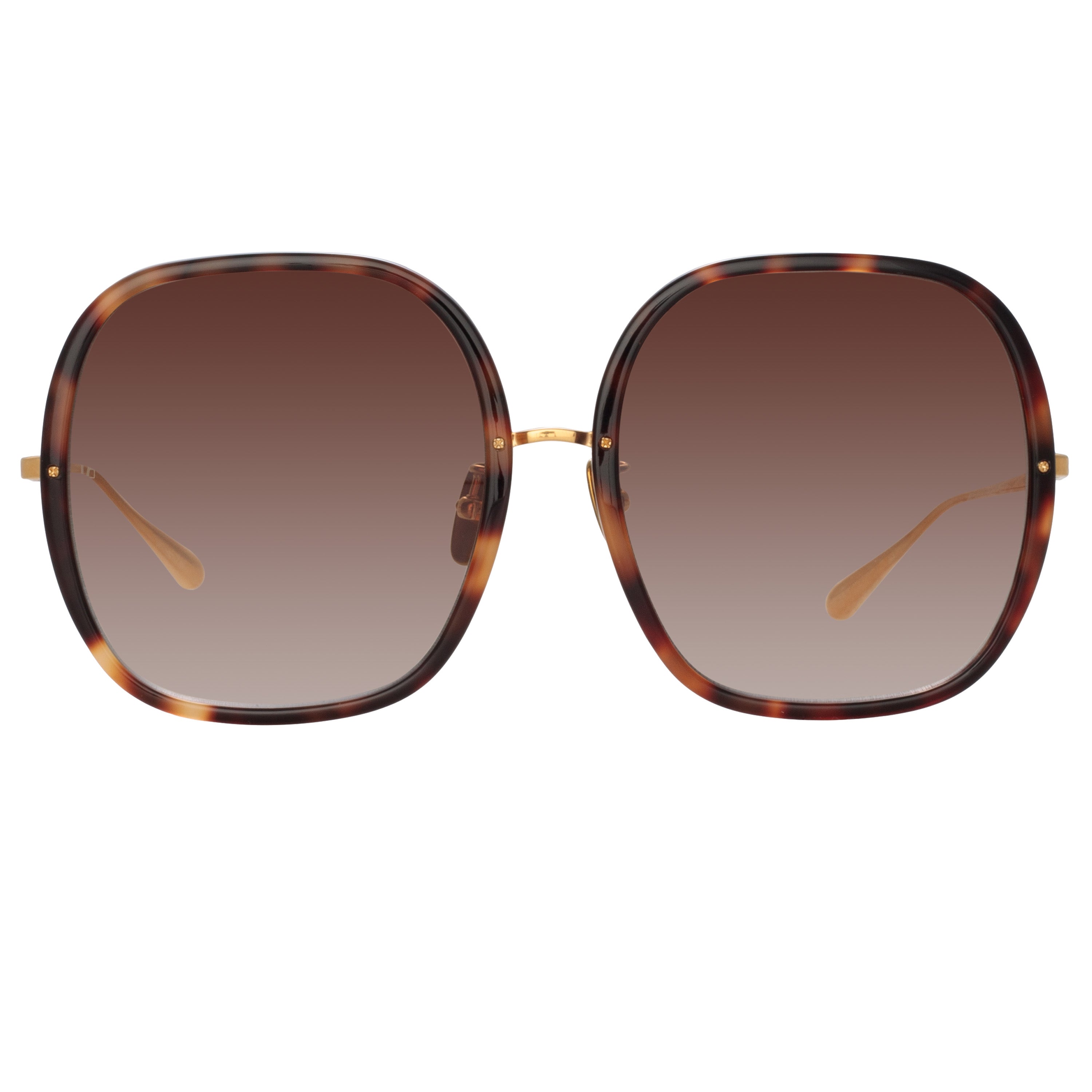 Celia Oversized Sunglasses in Tortoiseshell