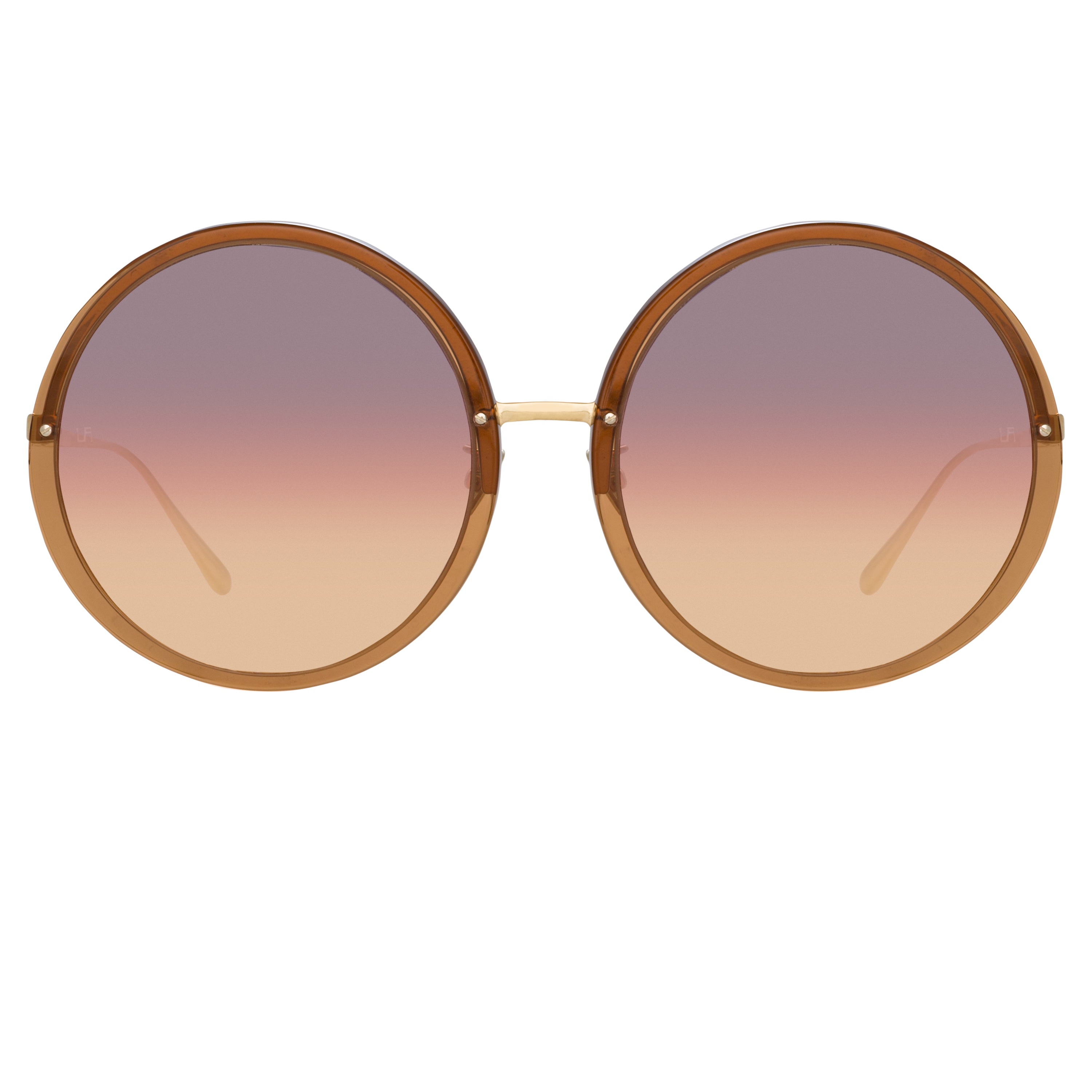 Kew Oversized Sunglasses in Tobacco