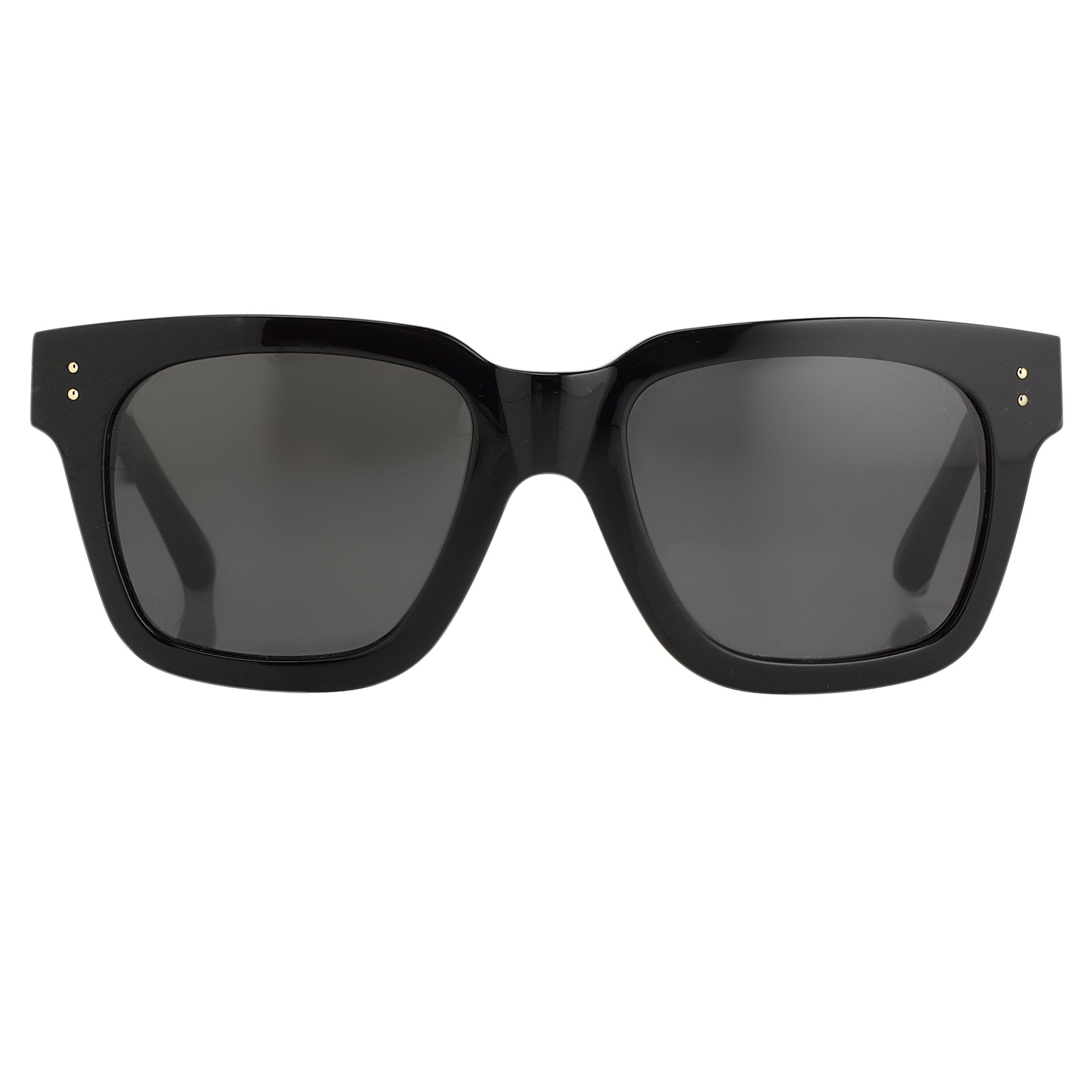 The Max D-Frame Sunglasses in Black Frame (C4)