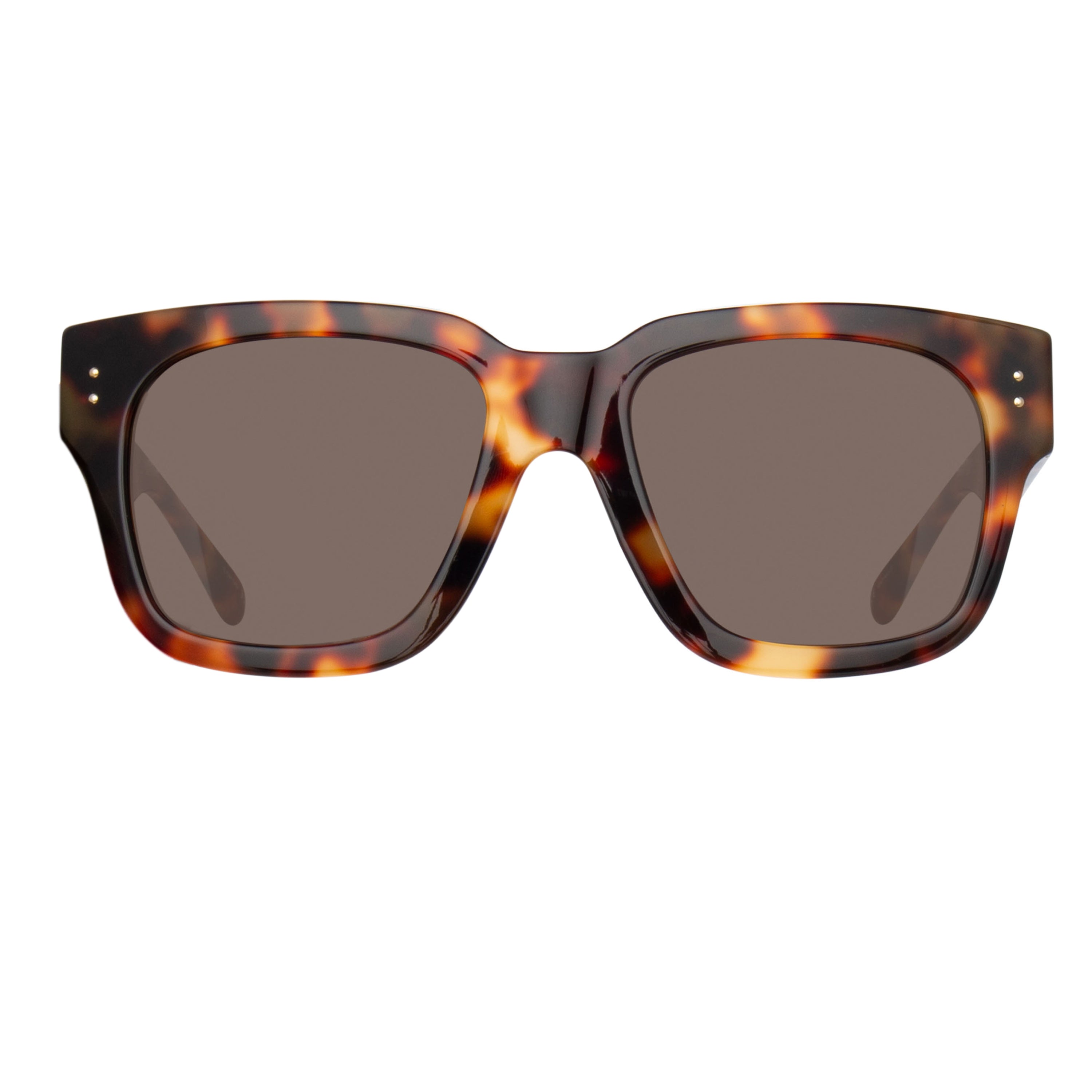 The Amber D-Frame Sunglasses in Tortoiseshell (C2)