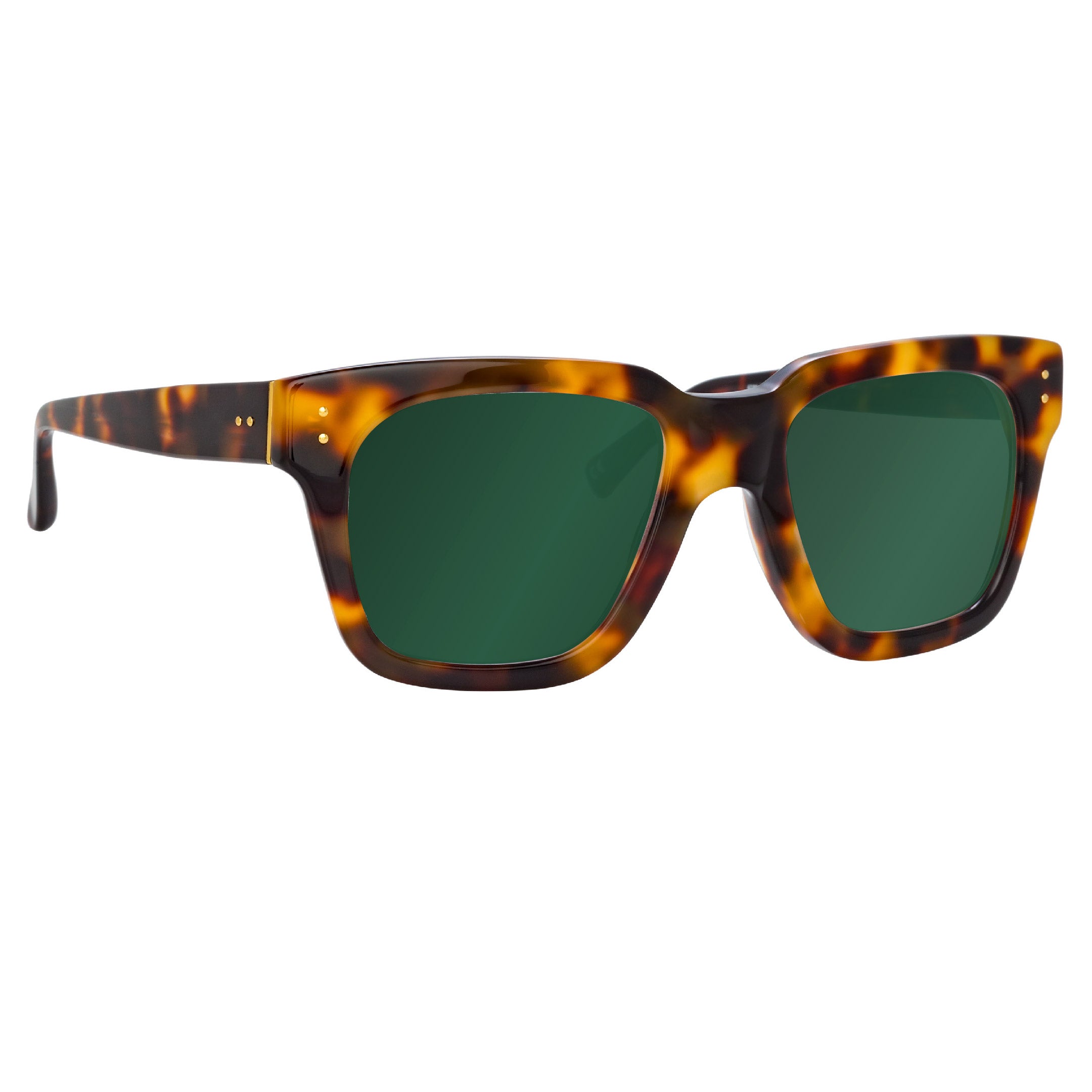 The Max D-Frame Sunglasses in Green / Tortoiseshell Frame (C95)