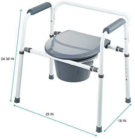 handicap toilet chair