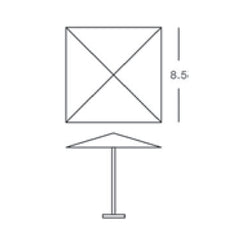 Umbrella Measurements