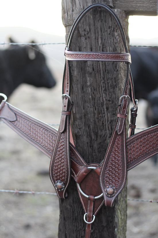 CLEARANCE! Gold Fleck on Tan Hide Dark Leather Tack Set – Cowgirl