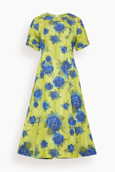 Fit-and-Flare Floral Print Fitted Midi Dress