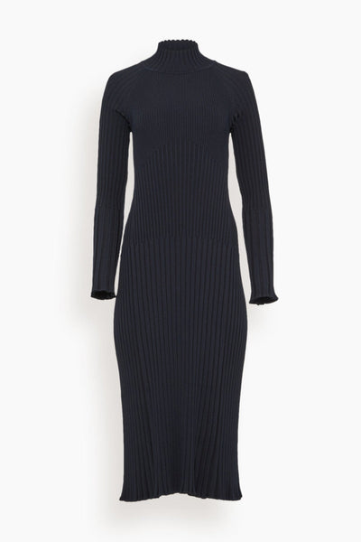 Turtleneck Sweater Ribbed Midi Dress