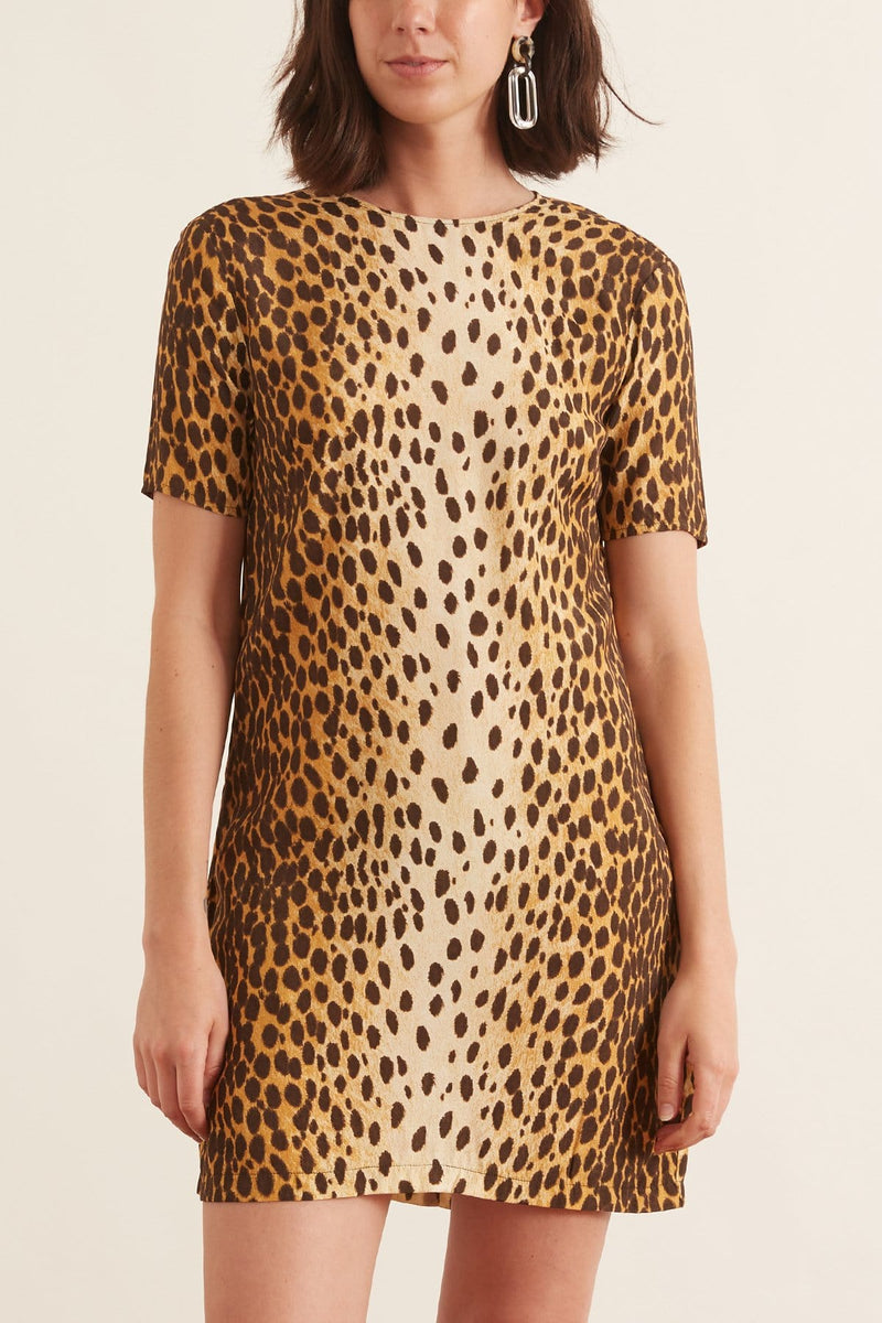 cheetah shift dress