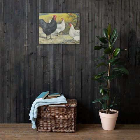 Austra Whites Heritage Poultry Painting Canvas Print