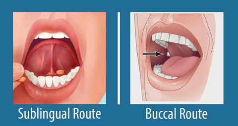 sublingual and buccal cbd administration