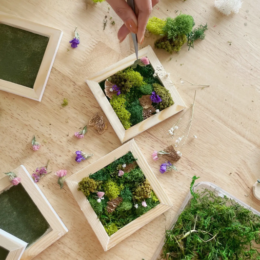 DIY Preserved Moss Wall Art Kit, Rocky Riverway – Live Long And Plant