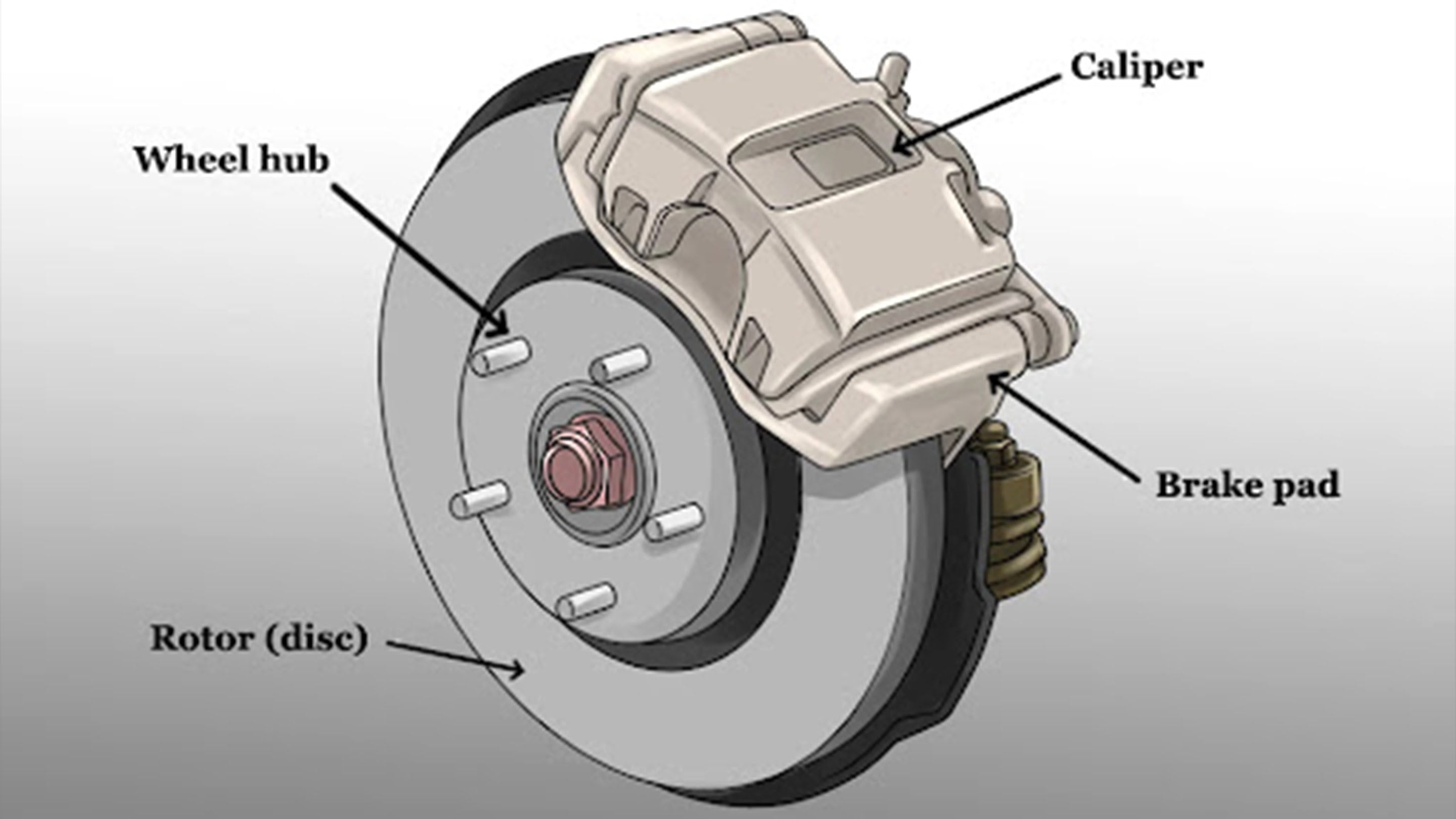 Diagram showing where brake pads and rotors go on wheel in relation to wheel hub