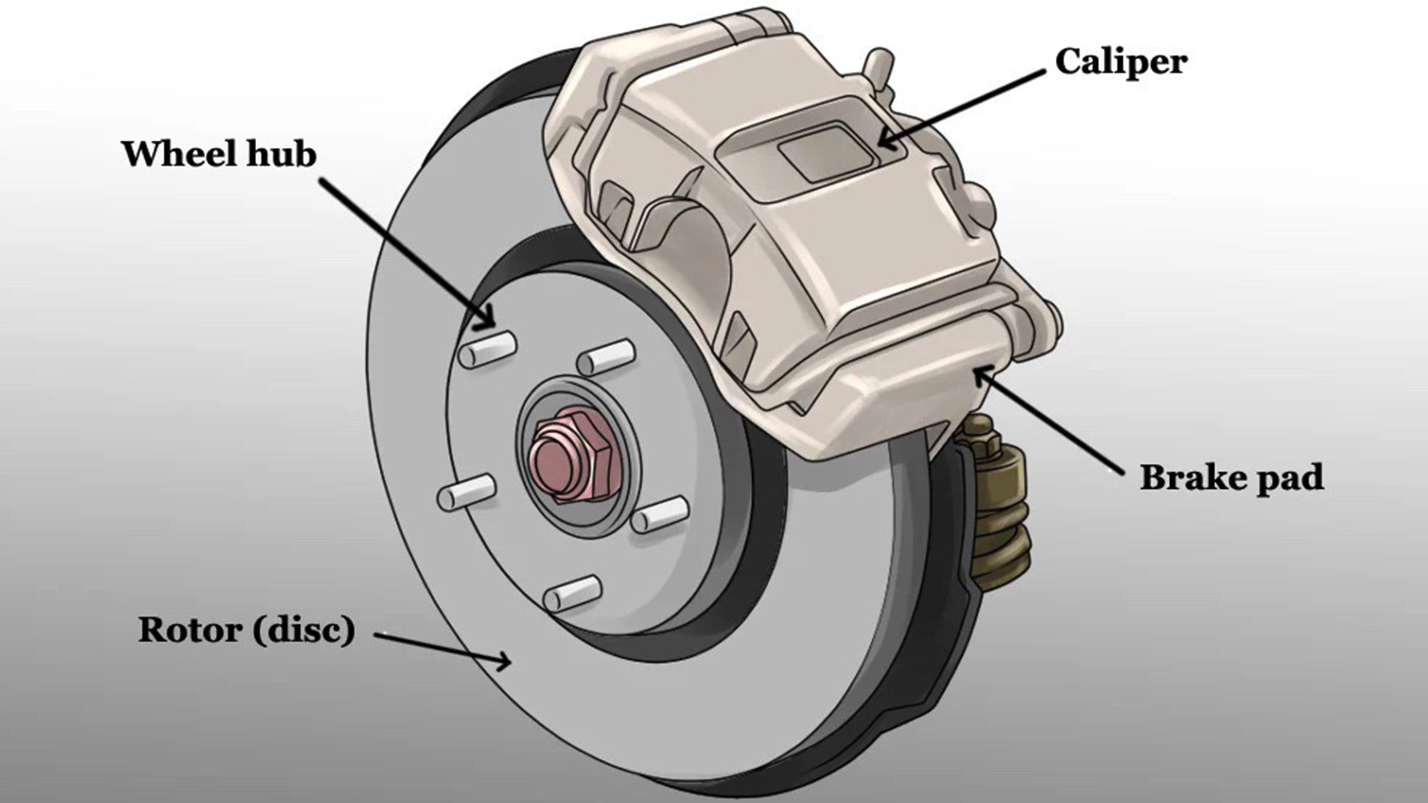 Digram of brake rotor attached to wheel hub with pad and caliper